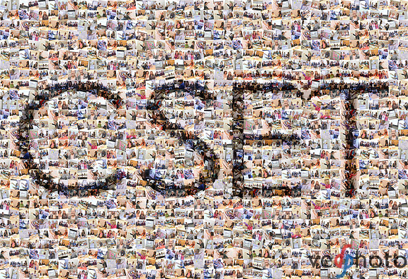 CSET SSTI 2012 Collage