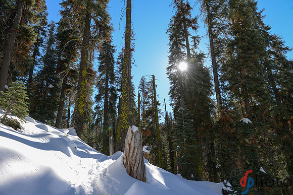 Alta Peak-33
