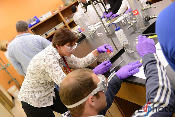 CSET SSTI 2012 (367 of 1430)