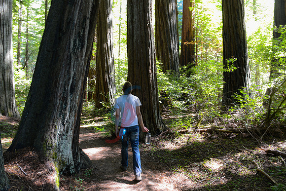 On the trail