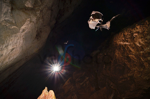 Ankarana Bat Cave