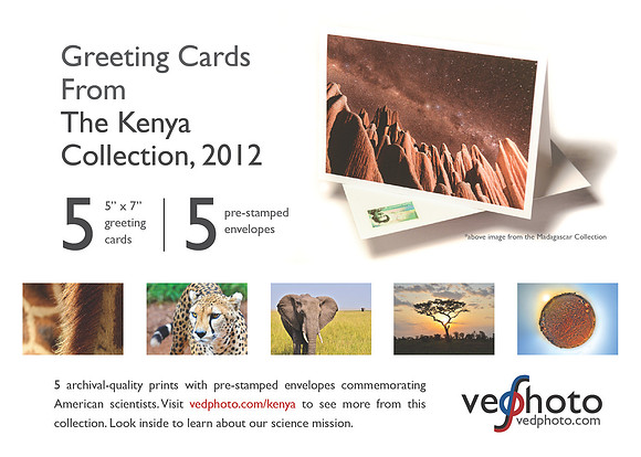 Info Card (Kenya)