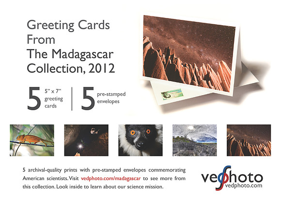 Info Card (Madagascar)-01