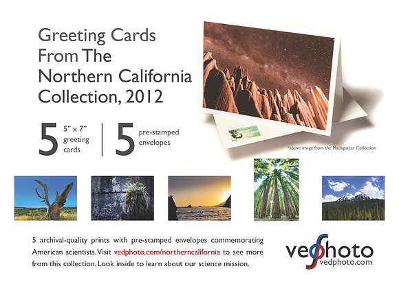 Info Card (NorCal)-01