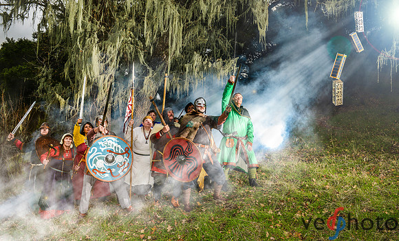 Space Vikings