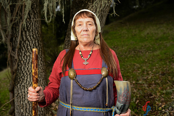 The Vikings of Bjornstad