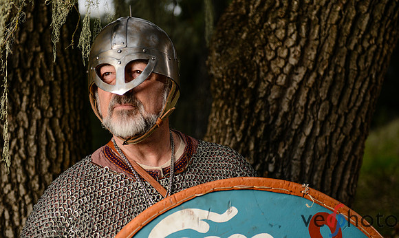 The Vikings of Bjornstad