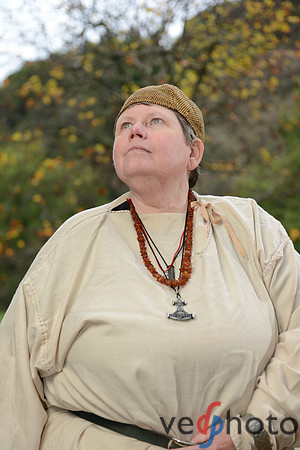 The Vikings of Bjornstad