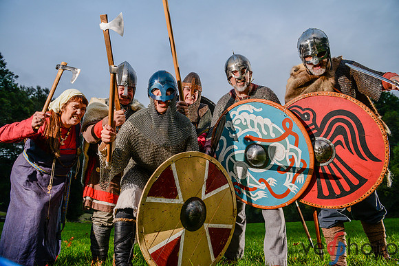 The Vikings of Bjornstad
