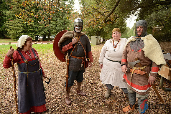 The Vikings of Bjornstad