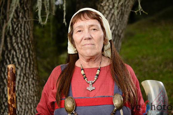 The Vikings of Bjornstad