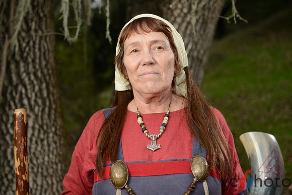 The Vikings of Bjornstad