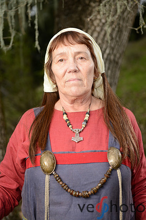 The Vikings of Bjornstad