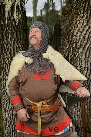The Vikings of Bjornstad