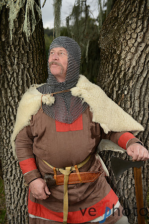 The Vikings of Bjornstad