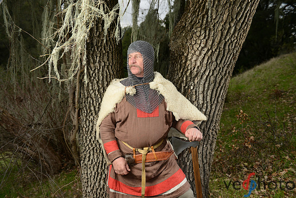 The Vikings of Bjornstad