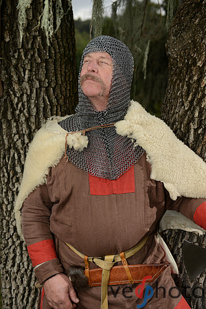 The Vikings of Bjornstad