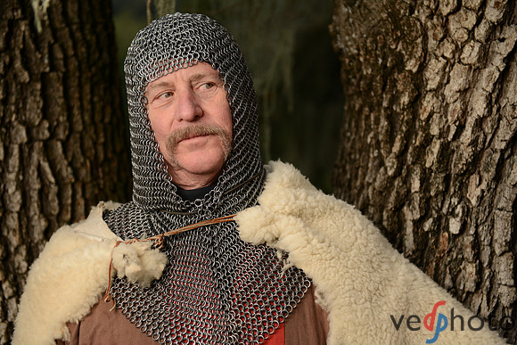 The Vikings of Bjornstad