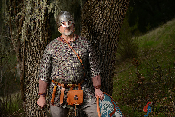 The Vikings of Bjornstad