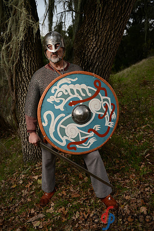The Vikings of Bjornstad