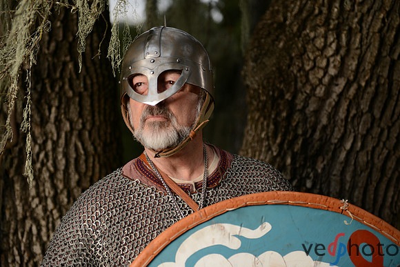 The Vikings of Bjornstad