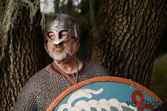 The Vikings of Bjornstad