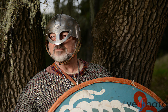 The Vikings of Bjornstad