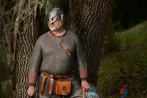 The Vikings of Bjornstad
