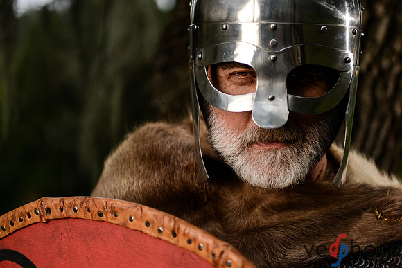 The Vikings of Bjornstad