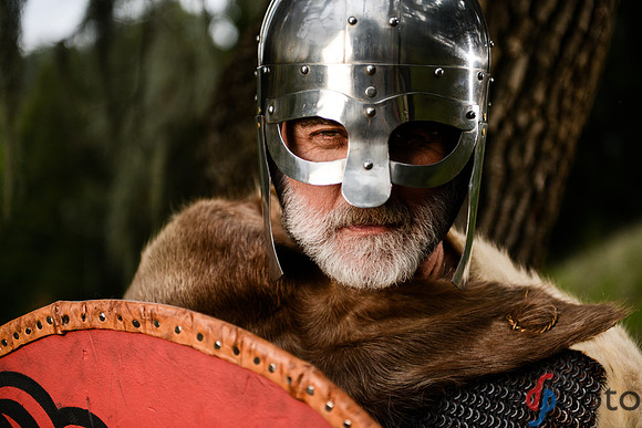 The Vikings of Bjornstad