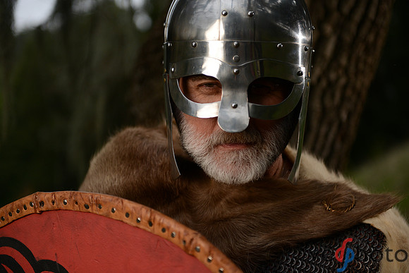 The Vikings of Bjornstad