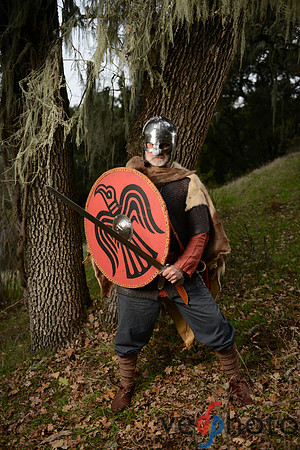 The Vikings of Bjornstad