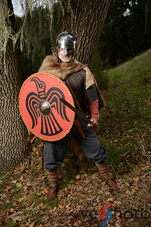 The Vikings of Bjornstad
