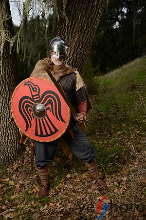 The Vikings of Bjornstad