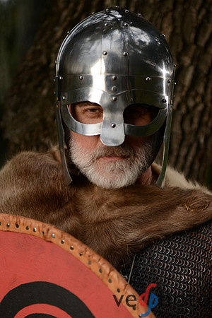 The Vikings of Bjornstad