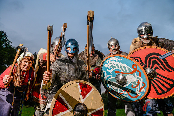 The Vikings of Bjornstad