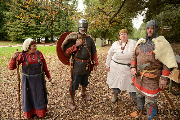The Vikings of Bjornstad