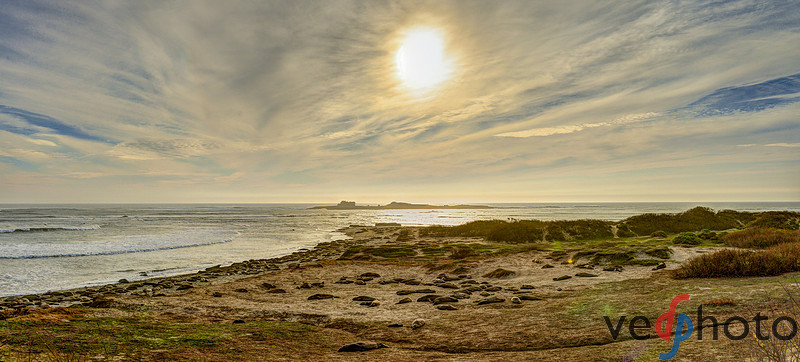 Año Nuevo State Park Panorama