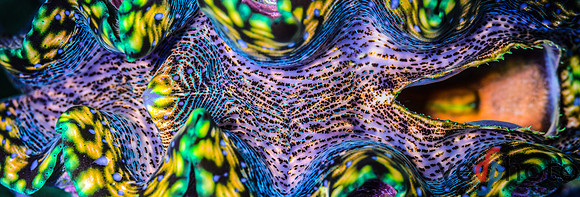 DSC_6687-Edit