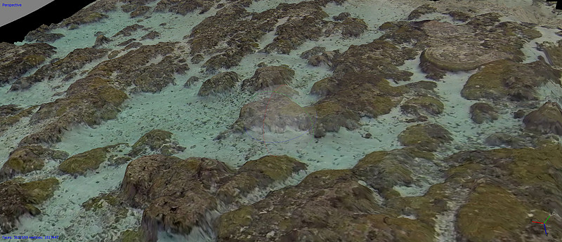 coral high texture render
