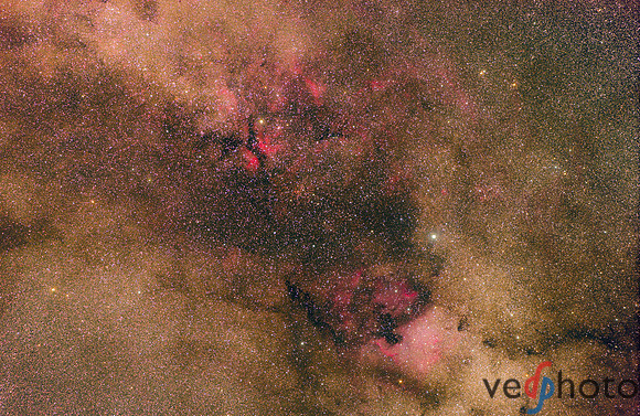 Cygnus, The Swan