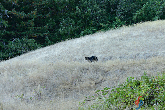 Humboldt State Park-0445