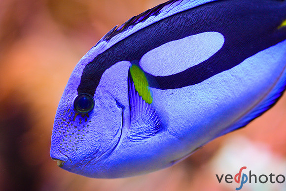 Reactive Reefs Preliminary Gallery-40