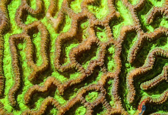 Reactive Reefs Preliminary Gallery-7