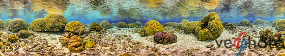 Mounding Coral of American Samoa, Ofu Island. Equirectangular projection of HDR panorama