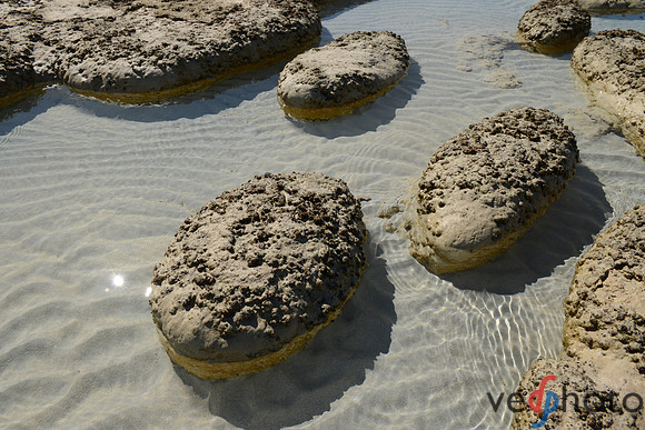 DSC_3212