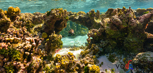 Reactive Reefs Preliminary Gallery-20