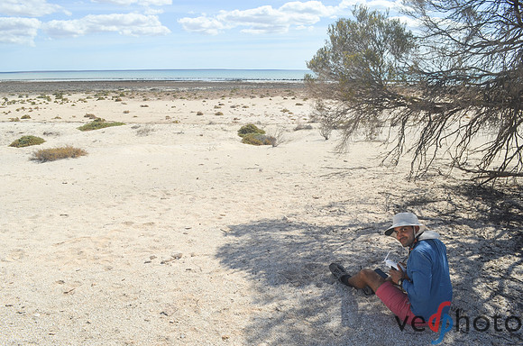 DSC_0187-2