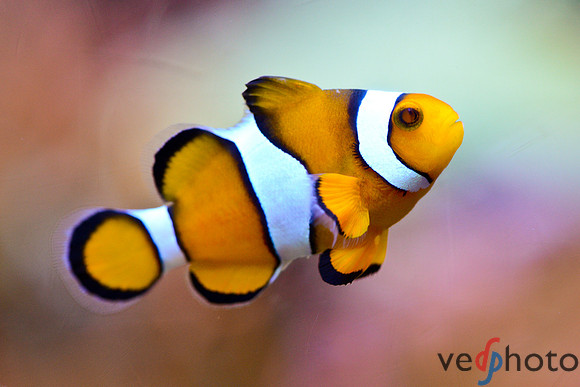 Reactive Reefs Preliminary Gallery-54