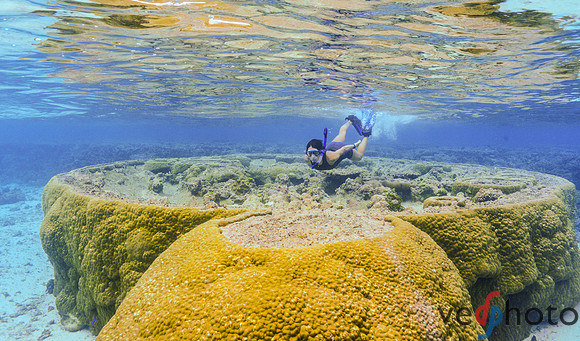 Reactive Reefs Preliminary Gallery-11
